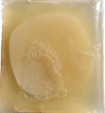 SCOBY KOMBUCHA - Organic Kombucha Scoby - Live Culture - Scoby with One Cup Starter Tea