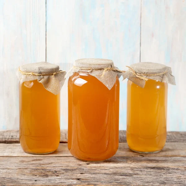 Organic Kombucha SCOBY