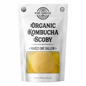 Organic Kombucha SCOBY